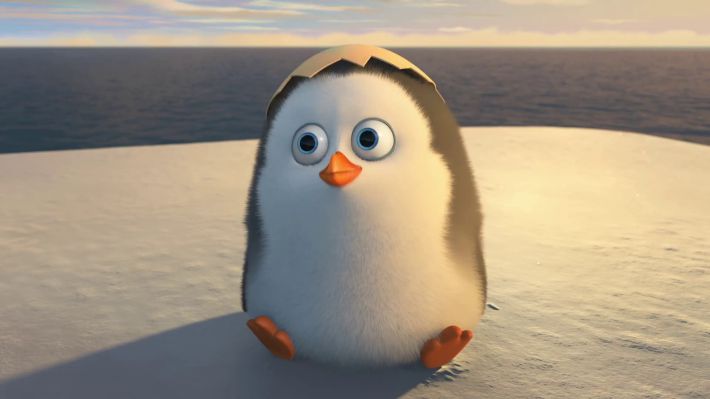 Hình nền cute về chim cánh cụt