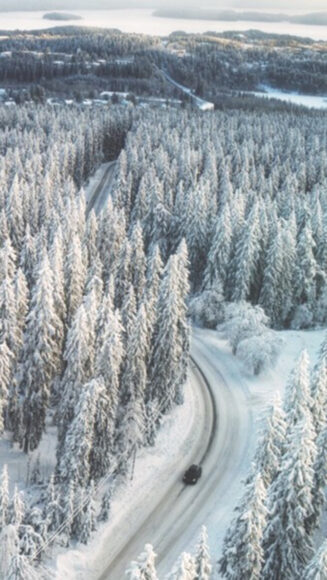 Hình mùa đông lạnh trên con đường xuyên rừng