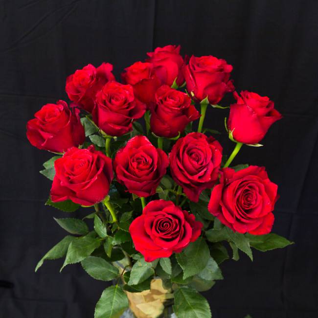 Hình ảnh bó hoa hồng đẹp nhất